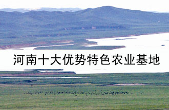 8月19日，河南省政府發(fā)布了關(guān)于深入推進(jìn)農(nóng)業(yè)供給側(cè)結(jié)構(gòu)性改革 大力發(fā)展優(yōu)勢(shì)特色農(nóng)業(yè)的意見