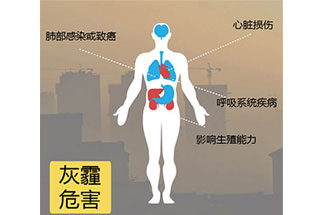 空氣中PM2.5 是由什么物質(zhì)組成的？